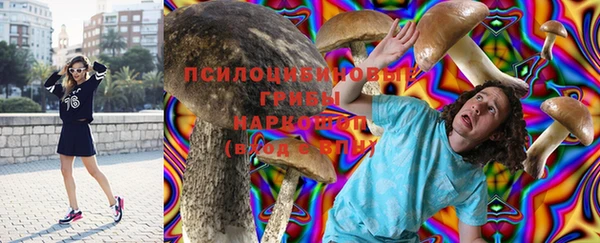 стафф Балахна