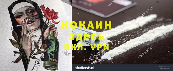 гидра Дмитровск