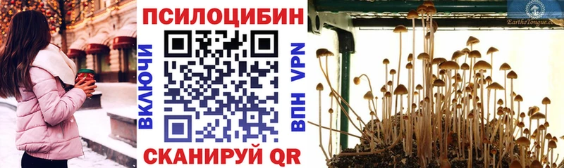 Псилоцибиновые грибы мухоморы Корсаков