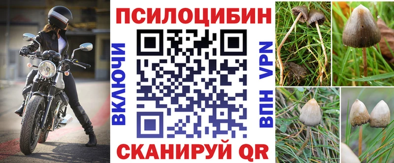 дарнет шоп  OMG tor  Псилоцибиновые грибы прущие грибы  Корсаков 
